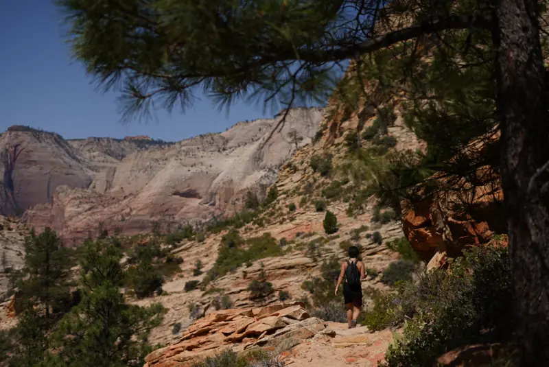Zion trail, Zion